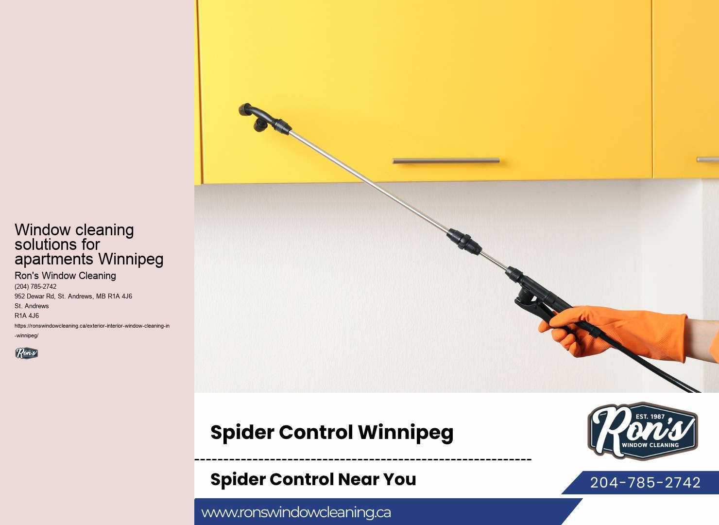 Premium residential window cleaning services