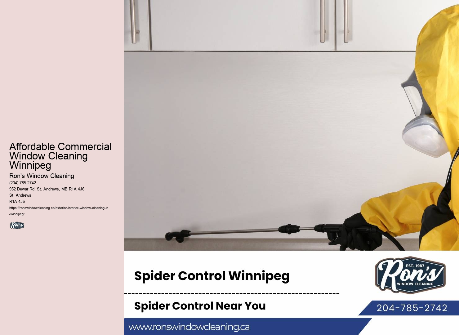 Best Window Washers in Affordable Commercial Window Cleaning Winnipeg