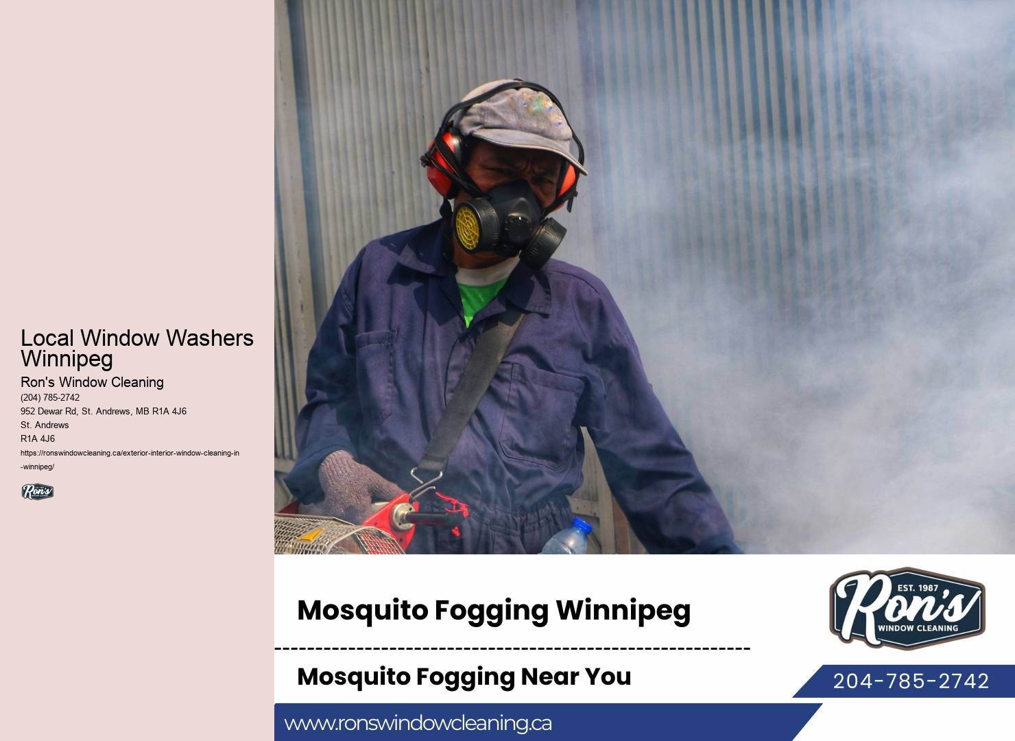 Window Maintenance Local Window Washers Winnipeg