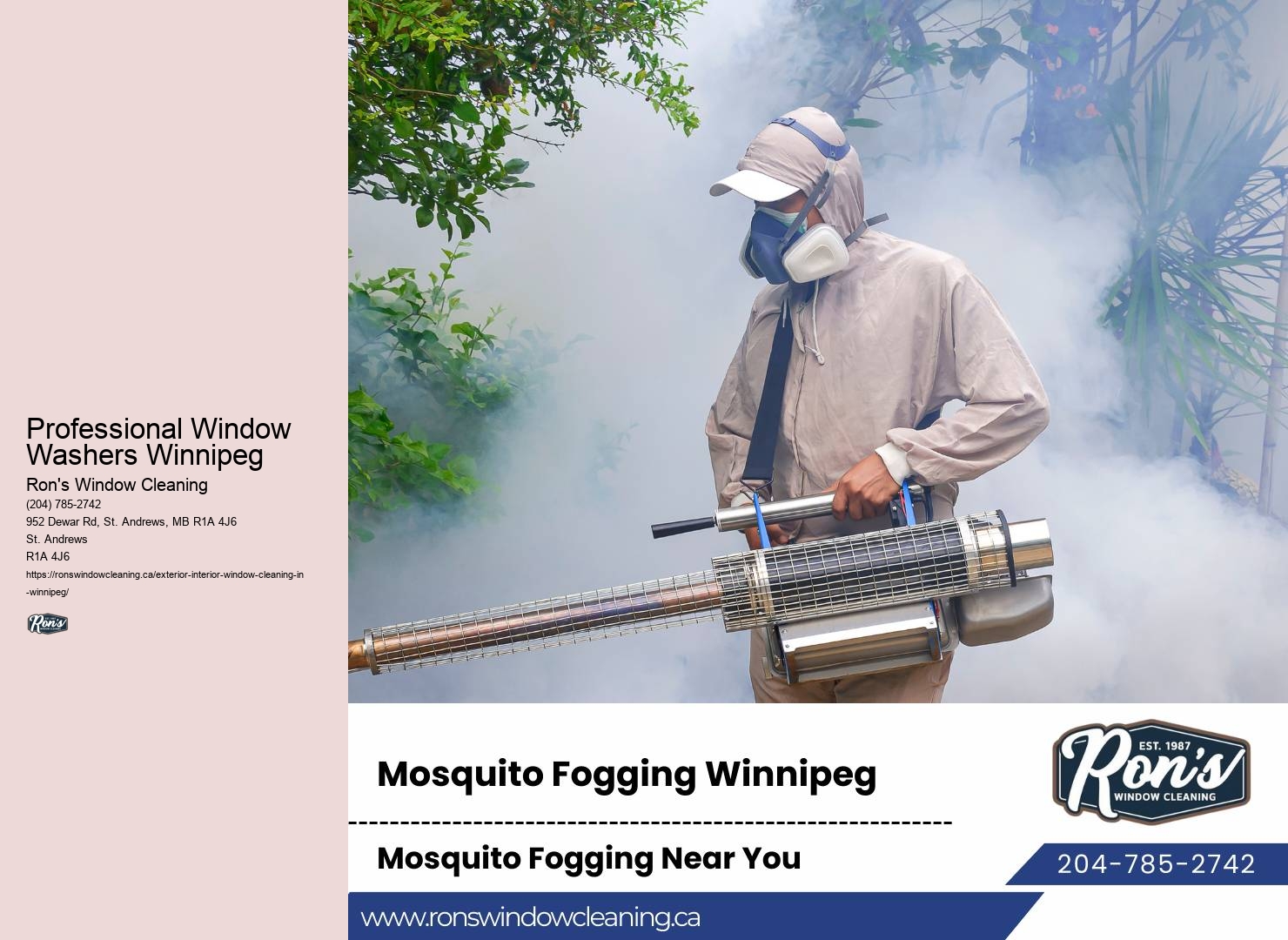 Professional Window Washers Winnipeg Window Washing Cost