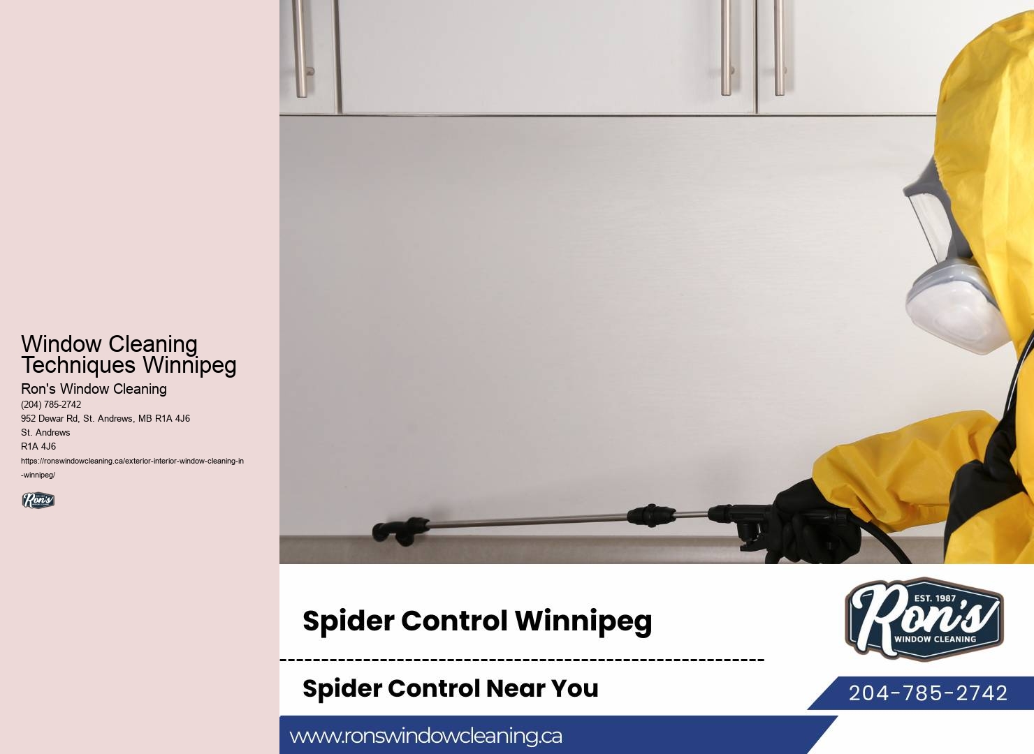 Window Cleaners in Window Cleaning Techniques Winnipeg