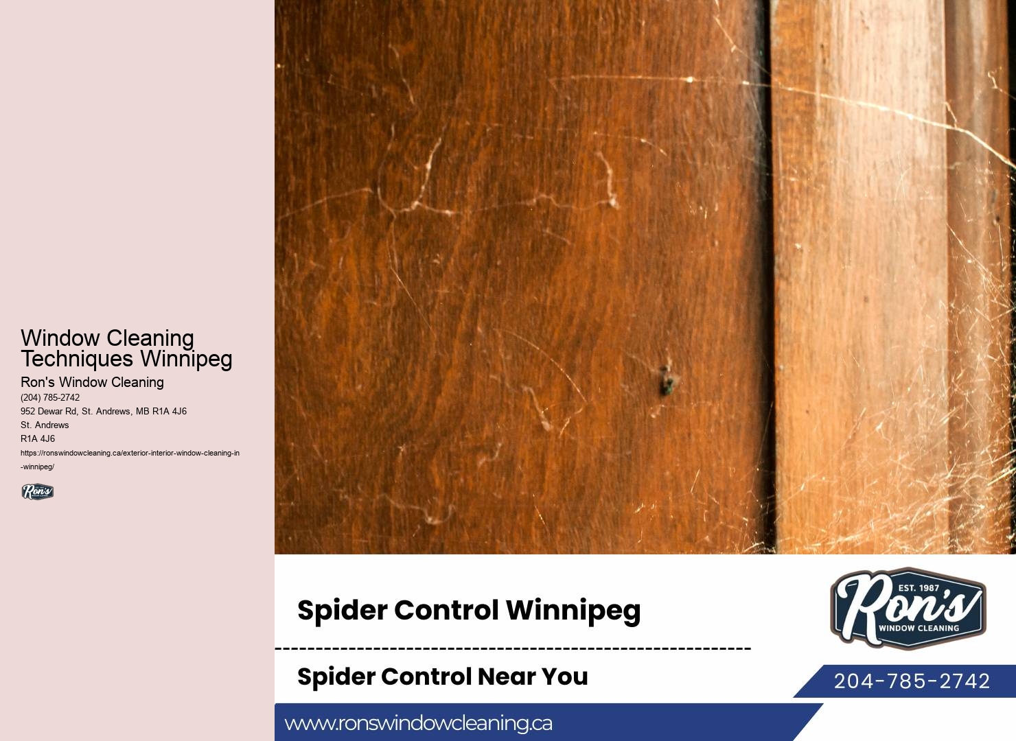 Window Cleaning Maintenance Window Cleaning Techniques Winnipeg