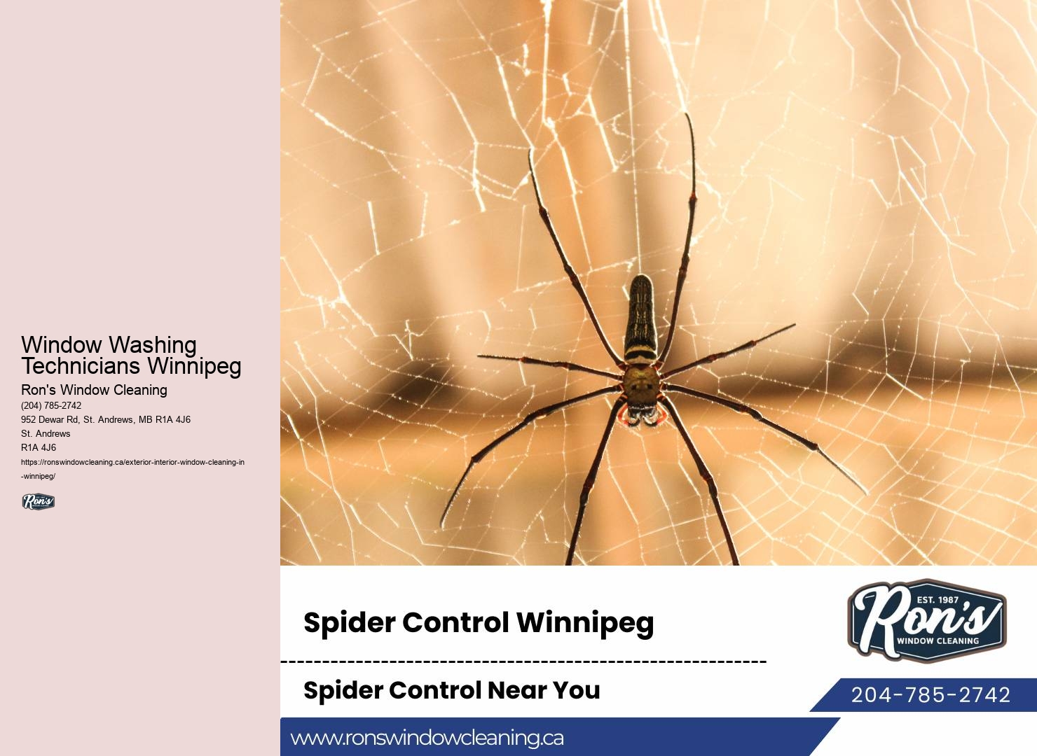 Window Washing Technicians Window Washing Technicians Winnipeg