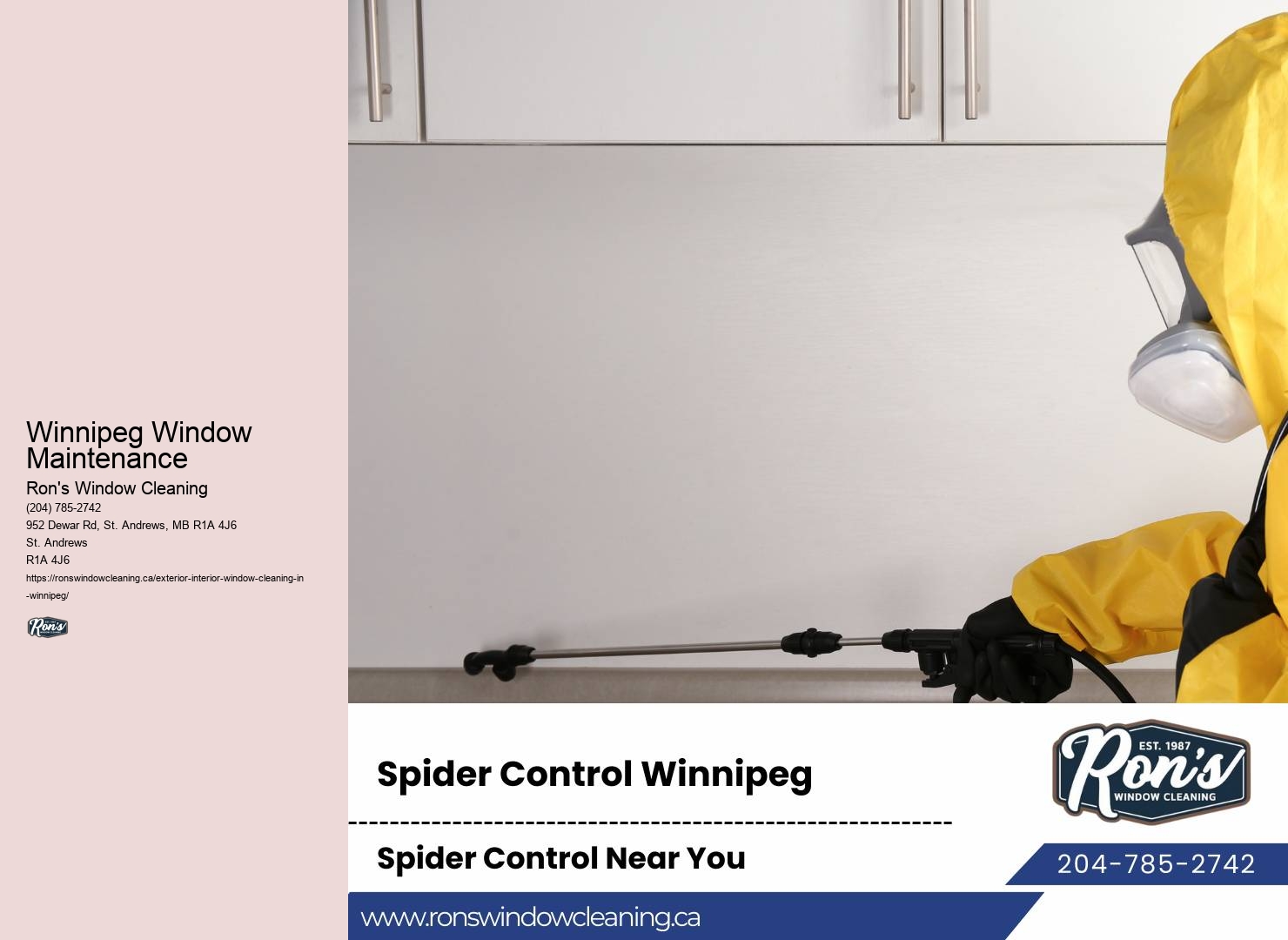 Window Washing Service Near Me Winnipeg Window Maintenance