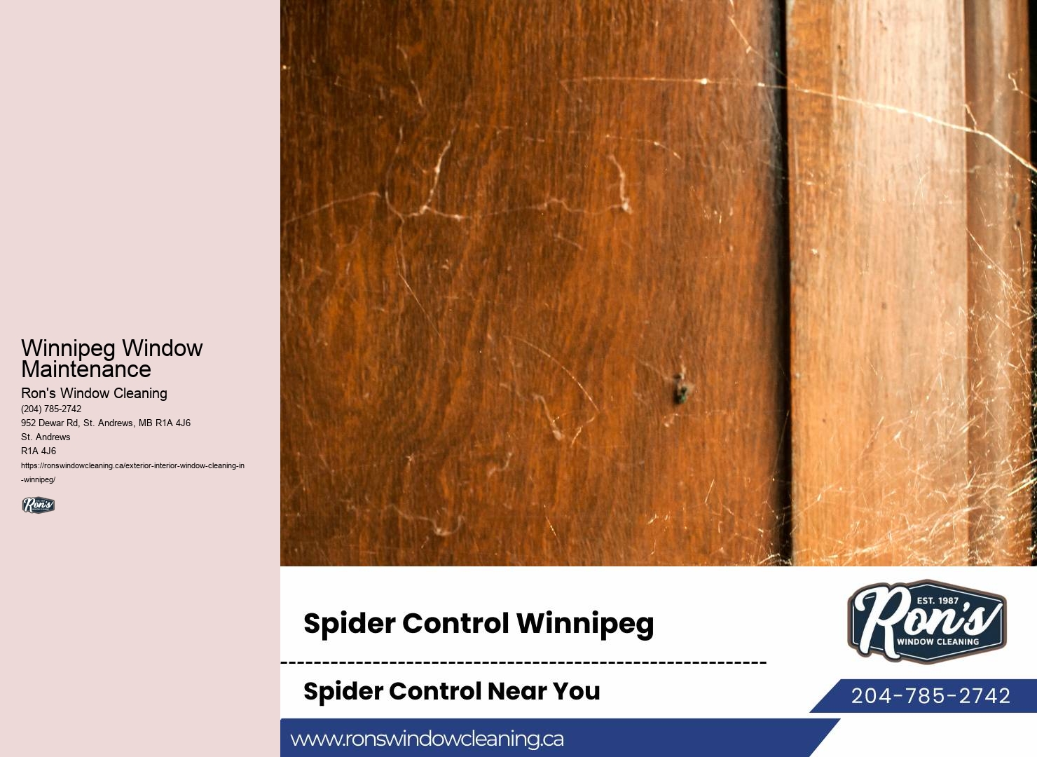 Winter Window Cleaning Winnipeg Window Maintenance