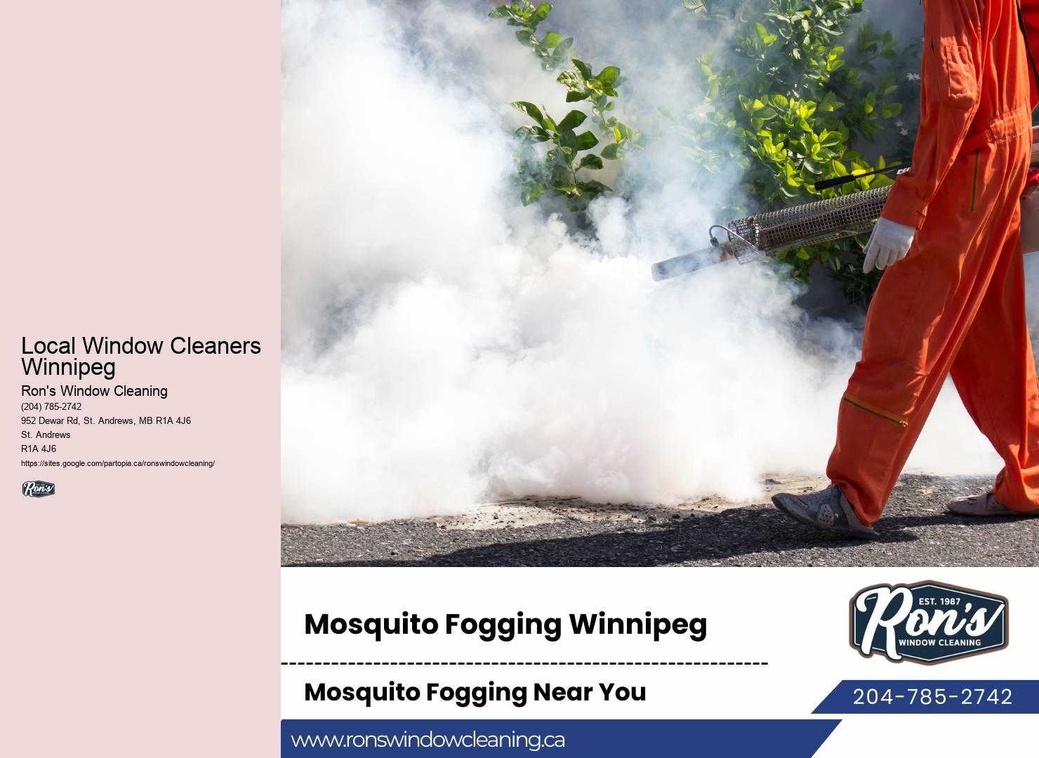 Local Window Cleaners Winnipeg Home Window Washers