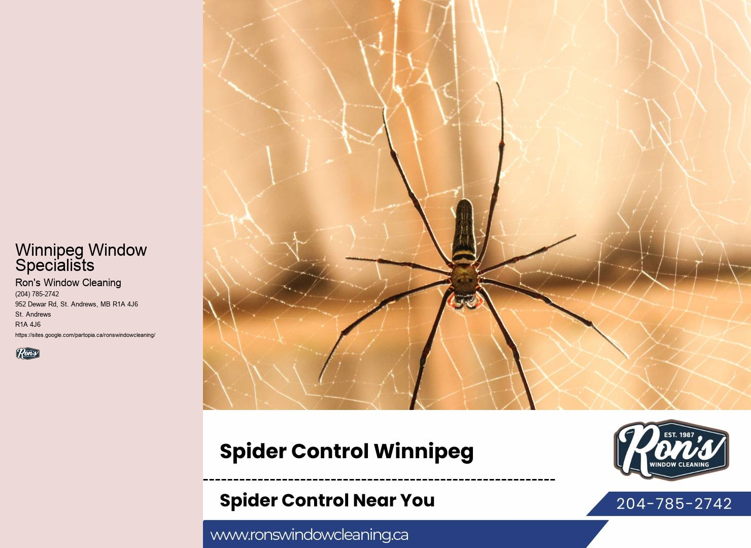 Affordable Window Cleaning Companies Winnipeg Window Specialists